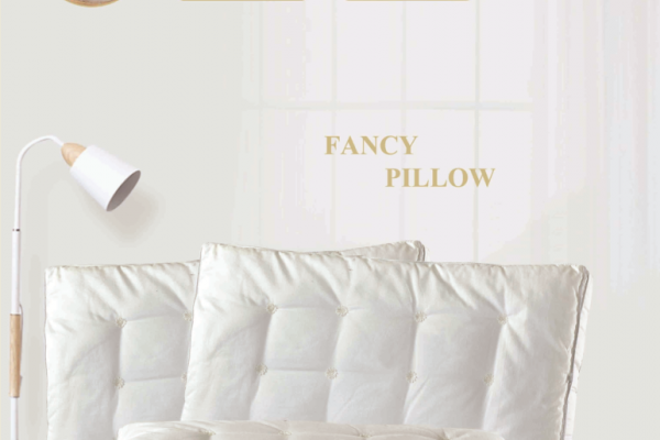 PROFESSOR LUXURY PILLOW-FANCY COTTON (50x75 cm)