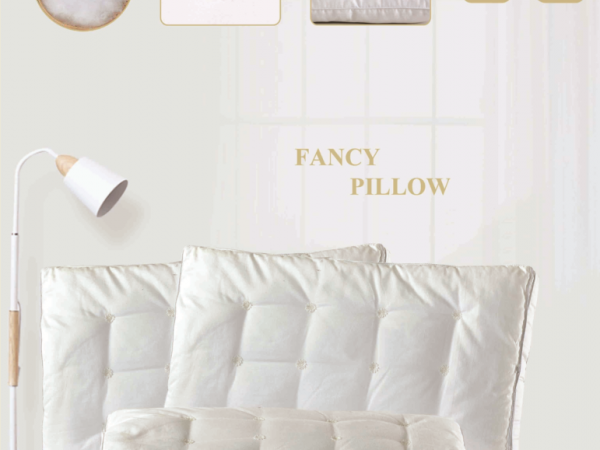 PROFESSOR LUXURY PILLOW-FANCY COTTON (50x75 cm)