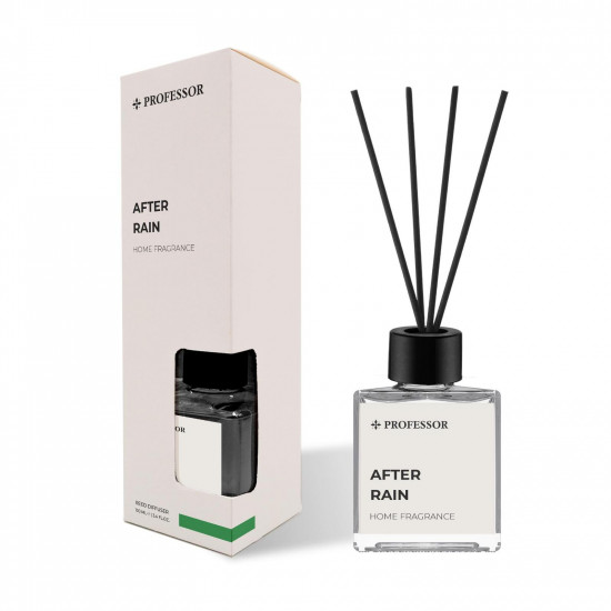 PROFESSOR AFTER RAIN 100ML REED DIFFUSER