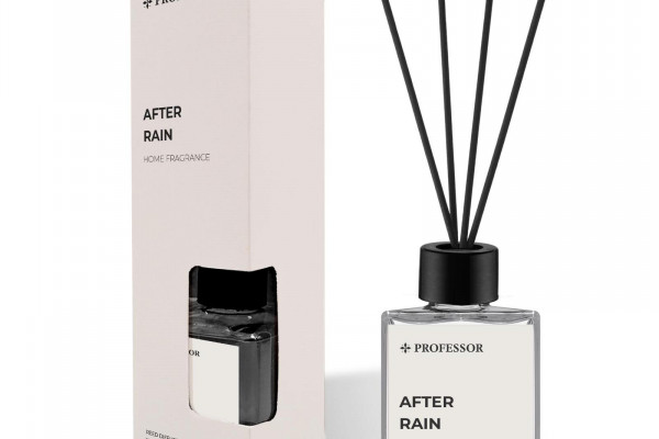 PROFESSOR AFTER RAIN 100ML REED DIFFUSER