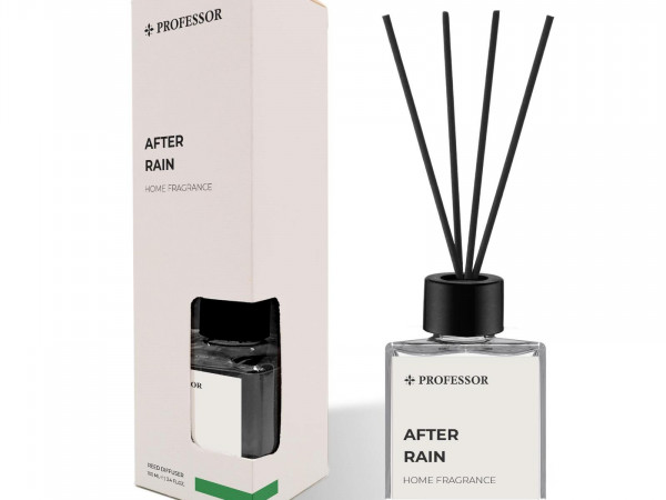 PROFESSOR AFTER RAIN 100ML REED DIFFUSER