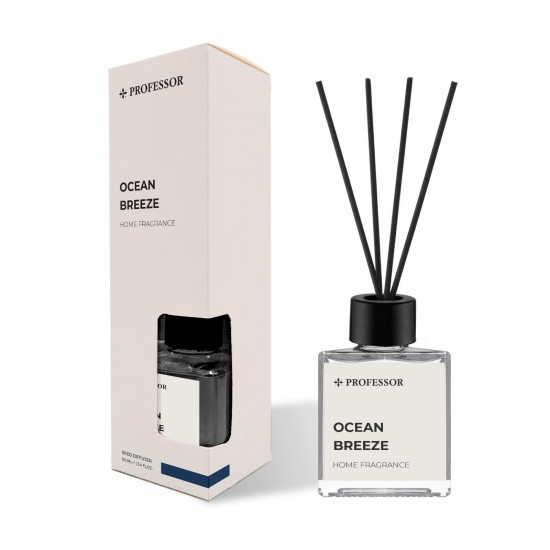PROFESSOR OCEAN BREEZE  100ML REED DIFFUSER