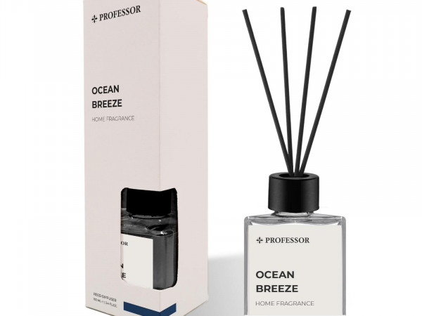 PROFESSOR OCEAN BREEZE  100ML REED DIFFUSER