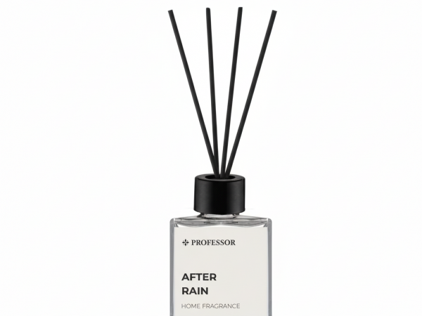 PROFESSOR AFTER RAIN 100ML REED DIFFUSER