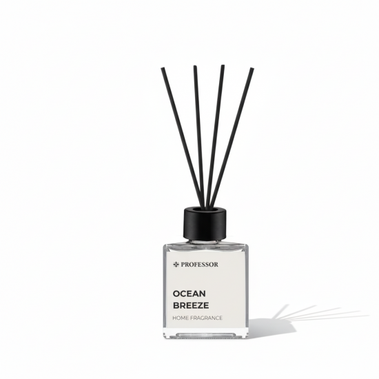 PROFESSOR OCEAN BREEZE  100ML REED DIFFUSER