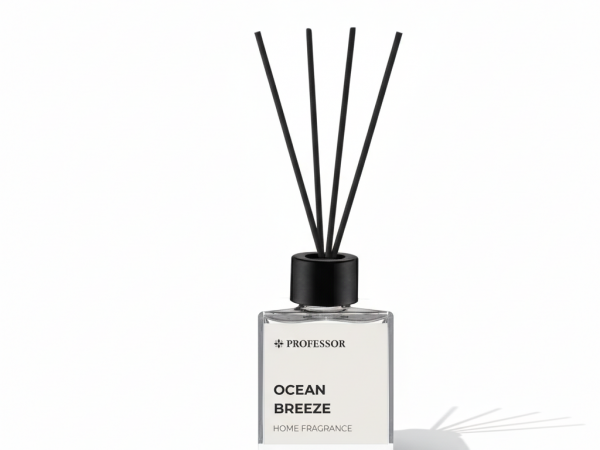 PROFESSOR OCEAN BREEZE  100ML REED DIFFUSER