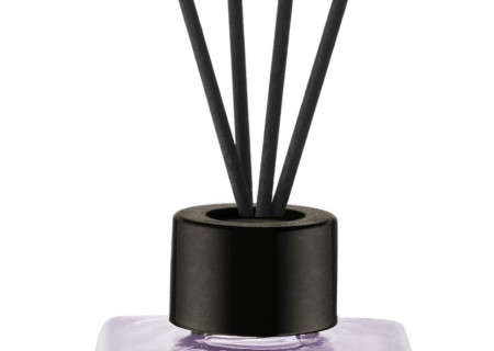 PROFESSOR LAVENDER GARDEN 100ML REED DIFFUSER