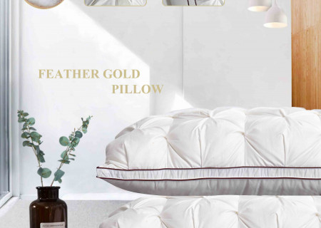 Pillow-Feather Gold (50*75 CM ) MEDIUM_SOFT