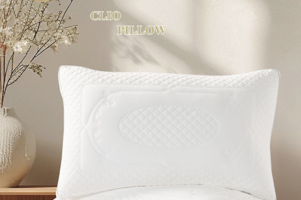 Luxurious Embroidered Pillow – Medium Soft, 50×75 cm