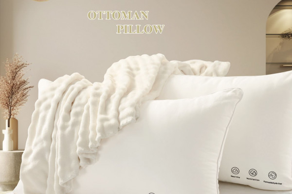 Luxurious Embroidered Pillow – Medium Soft, 50×75 cm